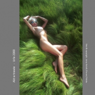 Nude on the grass - Urle 2000